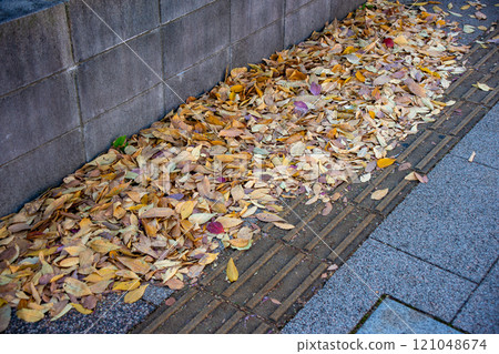 人行道上堆積落葉和點字塊 人行道上堆積落葉和點字塊 121048674
