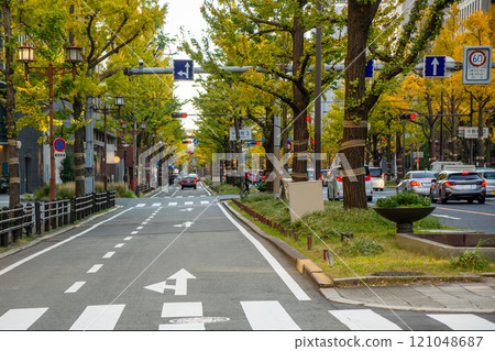 銀杏樹biloba樹在Midosuji在秋天 121048687