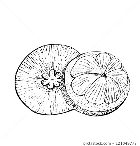 Open mangosteen with slices inside ink graphic vector composition isolated on white background. High quality hand drawn art for food design, packages, restaurant menu, fruit ads, label, logo and decor Open mangosteen with slices inside ink graphic vector composition isolated on white background. High quality hand drawn art for food design, packages, restaurant menu, fruit ads, label, logo and decor 121049772