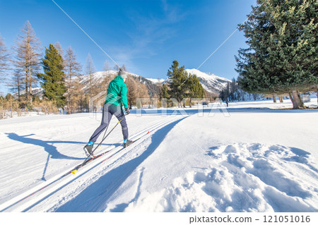 Nordic skier on alternating technique slope 121051016