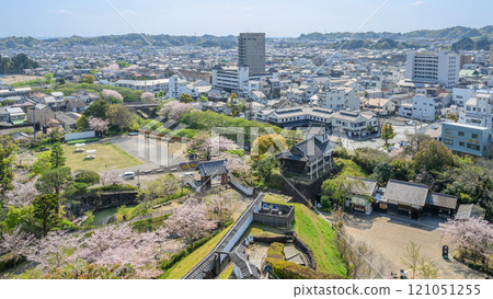 Cherry blossoms and the Shisokumon Gate and Taiko Yagura Tower from the Kakegawa Castle tower 121051255