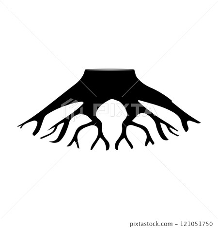 tree root icon tree root icon 121051750