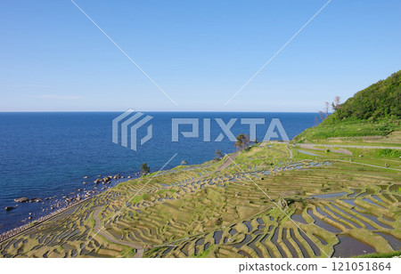 Wajima City, Ishikawa Prefecture, Shirayone Senmaida 121051864