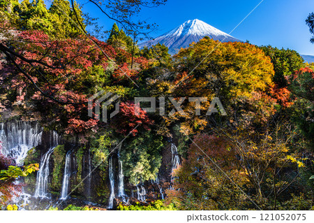 [靜岡縣_富士宮市_白絲瀑布]秋葉和富士山秋季版11月標籤 121052075
