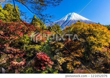 [靜岡縣_富士宮市_白絲瀑布]秋葉和富士山秋季版11月標籤 121052076