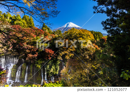 [Shizuoka Prefecture, Fujinomiya City, Shiraito Falls] Autumn leaves and Mt. Fuji, Autumn Edition, November tags 121052077