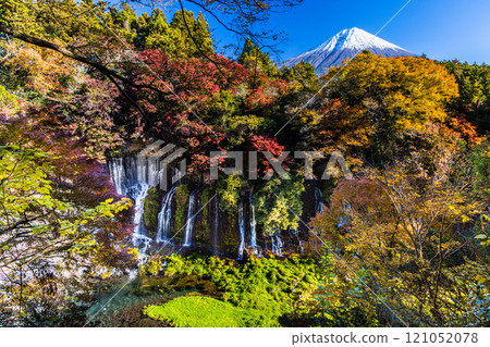 [Shizuoka Prefecture, Fujinomiya City, Shiraito Falls] Autumn leaves and Mt. Fuji, Autumn Edition, November tags 121052078