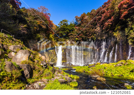 [Shizuoka Prefecture, Fujinomiya City, Shiraito Falls] Autumn leaves and Mt. Fuji, Autumn Edition, November tags 121052081