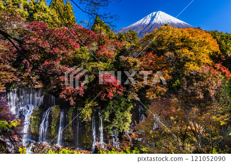 [Shizuoka Prefecture, Fujinomiya City, Shiraito Falls] Autumn leaves and Mt. Fuji, Autumn Edition, November tags 121052090