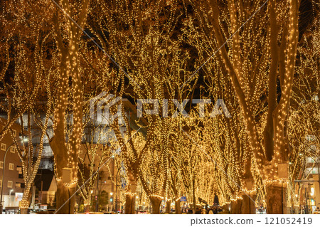 2024 SENDAI Pageant of Starlight Illumination, Sendai City, Miyagi Prefecture 121052419