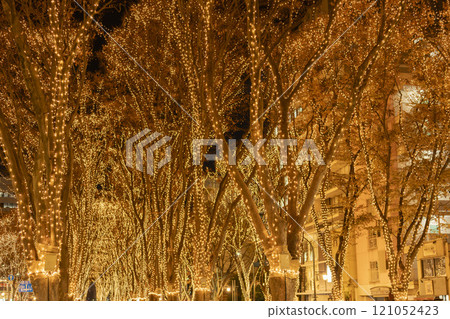 2024 SENDAI Pageant of Starlight Illumination, Sendai City, Miyagi Prefecture 121052423