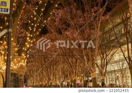 2024 SENDAI Pageant of Starlight Illumination, Sendai City, Miyagi Prefecture 121052435