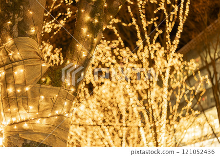 2024 SENDAI Pageant of Starlight Illumination, Sendai City, Miyagi Prefecture 2024 SENDAI Pageant of Starlight Illumination, Sendai City, Miyagi Prefecture 121052436