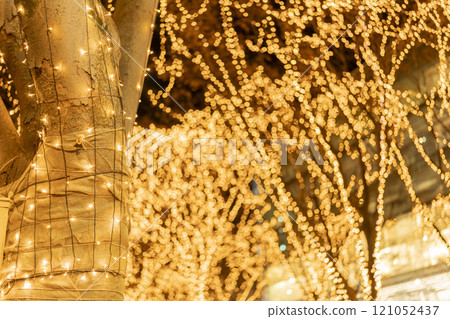 2024 SENDAI Pageant of Starlight Illumination, Sendai City, Miyagi Prefecture 121052437