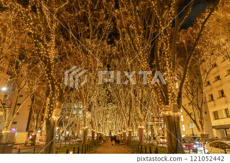 2024 SENDAI 燈光盛典 宮城縣仙台市 121052442