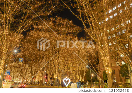 2024 SENDAI 燈光盛典 宮城縣仙台市 121052458