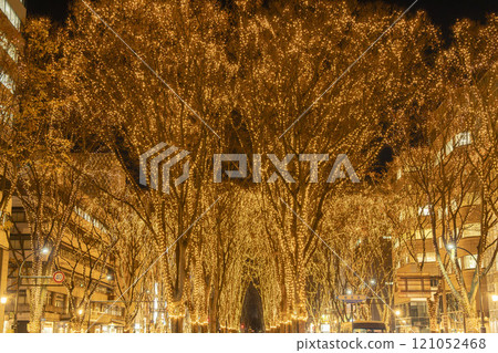 2024 SENDAI Pageant of Starlight Illumination, Sendai City, Miyagi Prefecture 2024 SENDAI Pageant of Starlight Illumination, Sendai City, Miyagi Prefecture 121052468