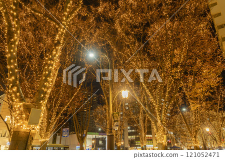 2024 SENDAI Pageant of Starlight Illumination, Sendai City, Miyagi Prefecture 121052471