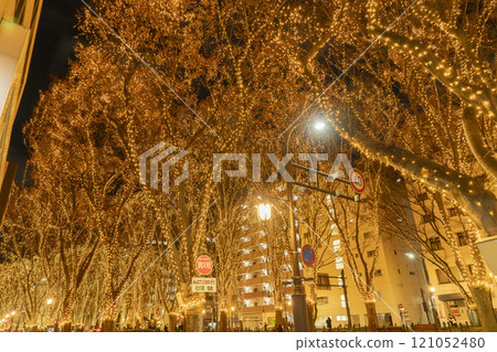 2024 SENDAI 燈光盛典 宮城縣仙台市 121052480