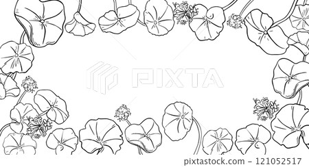 Frame of centella asiatica medicinal plant black white vector illustration on white. Pennywort, gotu kola rounded leaves on board hand drawn botanical line art for packaging, label herbal extract. Frame of centella asiatica medicinal plant black white vector illustration on white. Pennywort, gotu kola rounded leaves on board hand drawn botanical line art for packaging, label herbal extract. 121052517