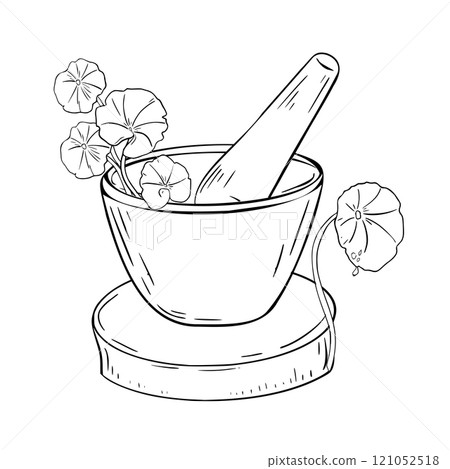 Stone mortar and pestle on wooden stand with healing herb black white vector illustration on white. Centella asiatica skincare plants hand drawn outline for design label ayurvedic medicine. Stone mortar and pestle on wooden stand with healing herb black white vector illustration on white. Centella asiatica skincare plants hand drawn outline for design label ayurvedic medicine. 121052518