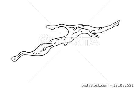 Driftwood black white vector illustration isolated on white. Gnarly branch, bark tree hand drawn graphic monochrome. Uneven tree branch, natural wood element for design. Dried tree branch sketch. Driftwood black white vector illustration isolated on white. Gnarly branch, bark tree hand drawn graphic monochrome. Uneven tree branch, natural wood element for design. Dried tree branch sketch. 121052521