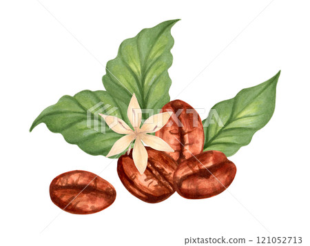 Coffee bean composition with leaves and flower. Robusta and Arabica varieties clipart. Watercolor and marker illustration. Hand drawn isolated art. Coffee day. Production, harvest, caffeinated drink. 121052713