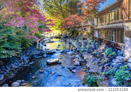 [靜岡縣_伊豆市_修善寺] 修善寺溫泉的秋天 11月 121053289