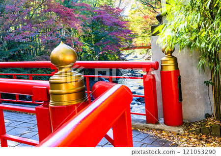 [靜岡縣_伊豆市_修善寺] 修善寺溫泉的秋天 11月 121053290