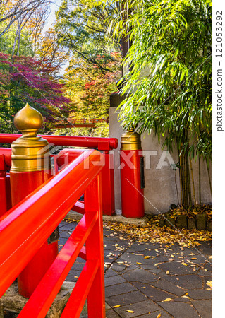 [靜岡縣_伊豆市_修善寺] 修善寺溫泉的秋天 11月 121053292