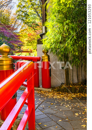 [靜岡縣_伊豆市_修善寺] 修善寺溫泉的秋天 11月 121053293
