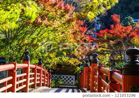 [靜岡縣_伊豆市_修善寺] 修善寺溫泉的秋天 11月 121053296
