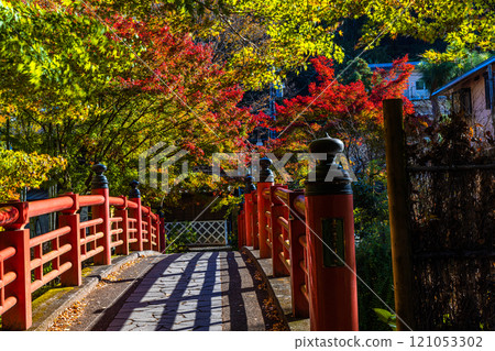 [靜岡縣_伊豆市_修善寺] 修善寺溫泉的秋天 11月 121053302