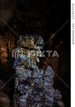 Akiyoshi Cave: Gankutsuou [Mine City, Yamaguchi Prefecture] 121053558