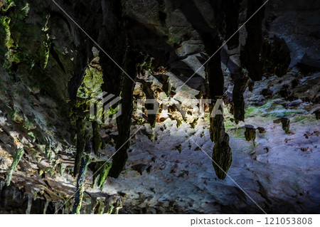 Akiyoshido Cave - Umbrellas galore [Mine City, Yamaguchi Prefecture] 121053808