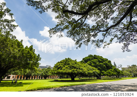 Beautiful view of the large Banyan Garden on the National Cheng Kung University (NCKU) campus in Tainan, Taiwan. 121053924