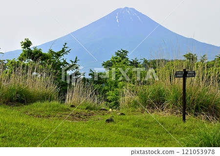 Misaka Mountains - View of Mt. Fuji in early summer from Oishi Pass on the grassland 121053978
