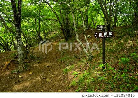 禦坂山脈十二嶽山頂，有路標的樹枝 121054016