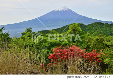 從禦坂山大石峠出發的富士山，杜鵑花盛開的時候 121054173