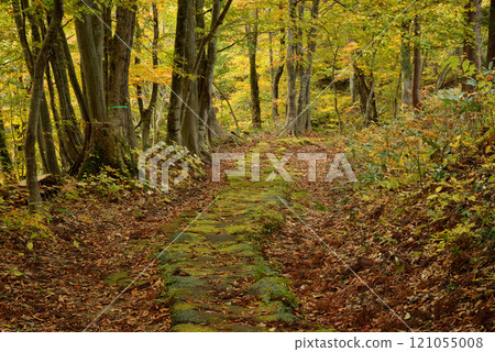 Kurosawa Pass in autumn, Oguni Town Kurosawa Pass in autumn, Oguni Town 121055008