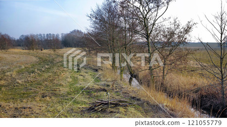 Wet farmland in early spring in Jutland, Denmark, with blue sky background. Abandoned wild trees growing near a swamp riverbank on a field. Scenic marshland and rural landscape in nature Wet farmland in early spring in Jutland, Denmark, with blue sky background. Abandoned wild trees growing near a swamp riverbank on a field. Scenic marshland and rural landscape in nature 121055779