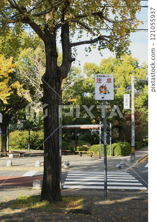 Pedestrian crossing warning sign Pedestrian crossing warning sign 121055937