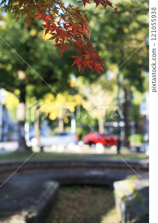 Autumn leaves in the park and a red sports car Autumn leaves in the park and a red sports car 121055938