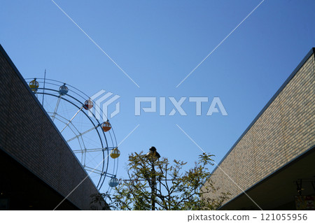 A street with a Ferris wheel 121055956
