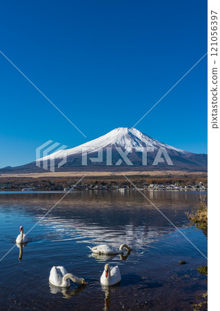 Mt. Fuji in autumn with autumn leaves and snow on the top, Lake Yamanaka side, Shiratorihama 121056397