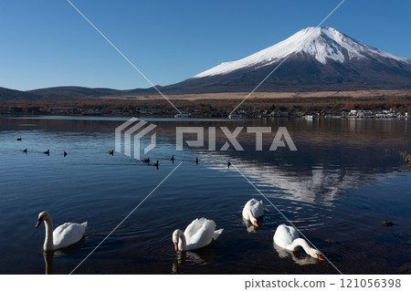 秋天的富士山，紅葉和雪帽，山中湖畔，白鳥海灘 121056398