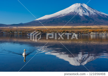 秋天的富士山,紅葉和雪帽,山中湖畔,白鳥海灘 秋天的富士山,紅葉和雪帽,山中湖畔,白鳥海灘 121056408
