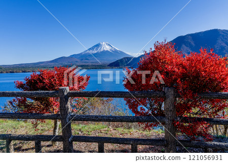 秋天的富士山覆蓋著秋葉和雪,本棲湖畔 秋天的富士山覆蓋著秋葉和雪,本棲湖畔 121056931