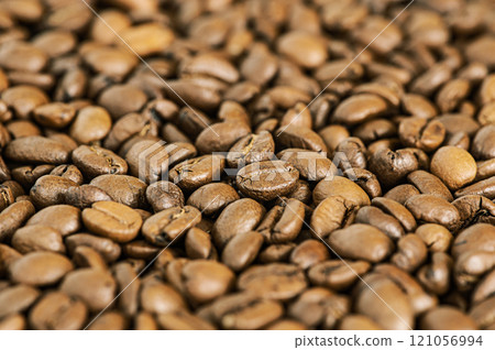 Coffee beans macro photo as background. 121056994