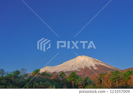 Mt. Fuji in autumn with autumn leaves and snow on the side of the roadside station Subashiri 121057009